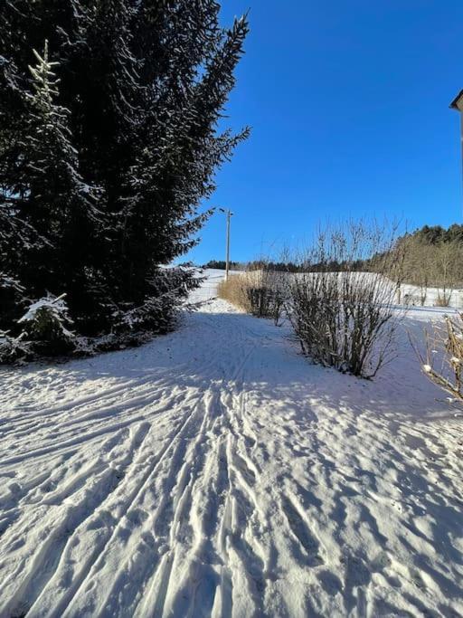 Franzis Feriendomizil Im Herzgebirge Am Skihang Auerbach  Ngoại thất bức ảnh