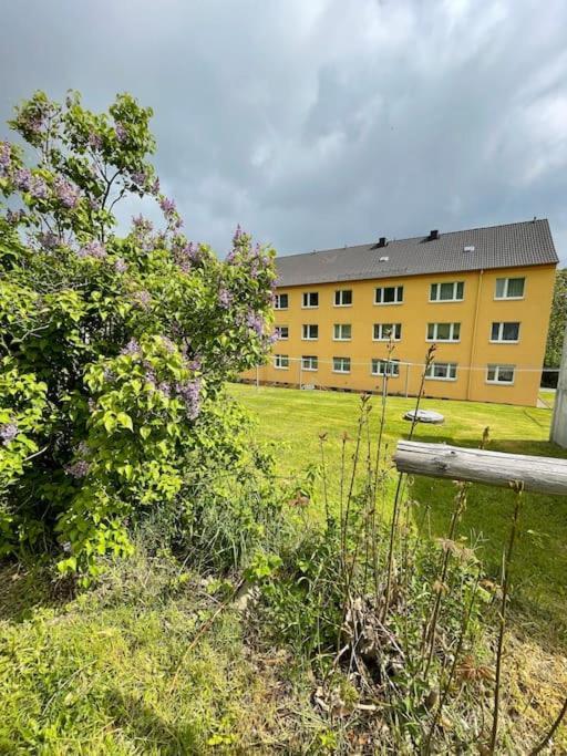 Franzis Feriendomizil Im Herzgebirge Am Skihang Auerbach  Ngoại thất bức ảnh