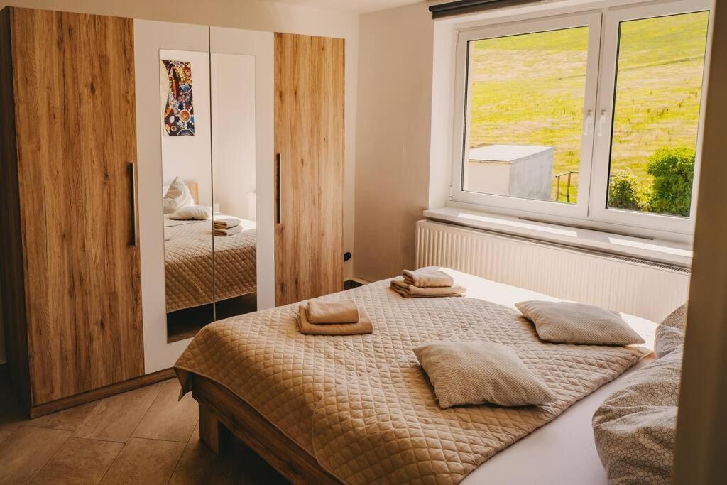 Franzis Feriendomizil Im Herzgebirge Am Skihang Auerbach  Ngoại thất bức ảnh