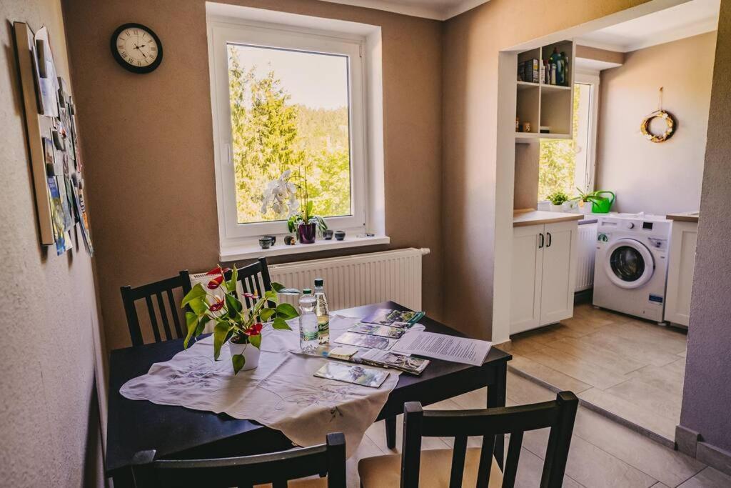 Franzis Feriendomizil Im Herzgebirge Am Skihang Auerbach  Ngoại thất bức ảnh