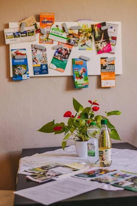 Franzis Feriendomizil Im Herzgebirge Am Skihang Auerbach  Ngoại thất bức ảnh