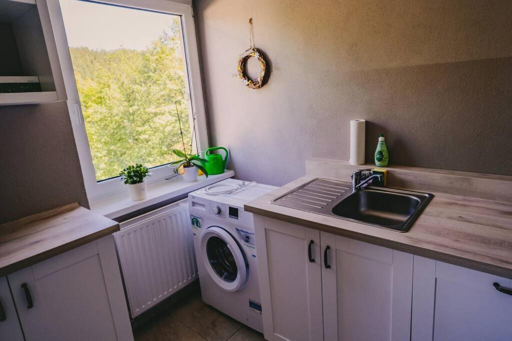 Franzis Feriendomizil Im Herzgebirge Am Skihang Auerbach  Ngoại thất bức ảnh
